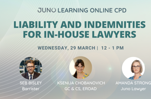 Juno Learning: Liability and indemnities for In-house Lawyers summary